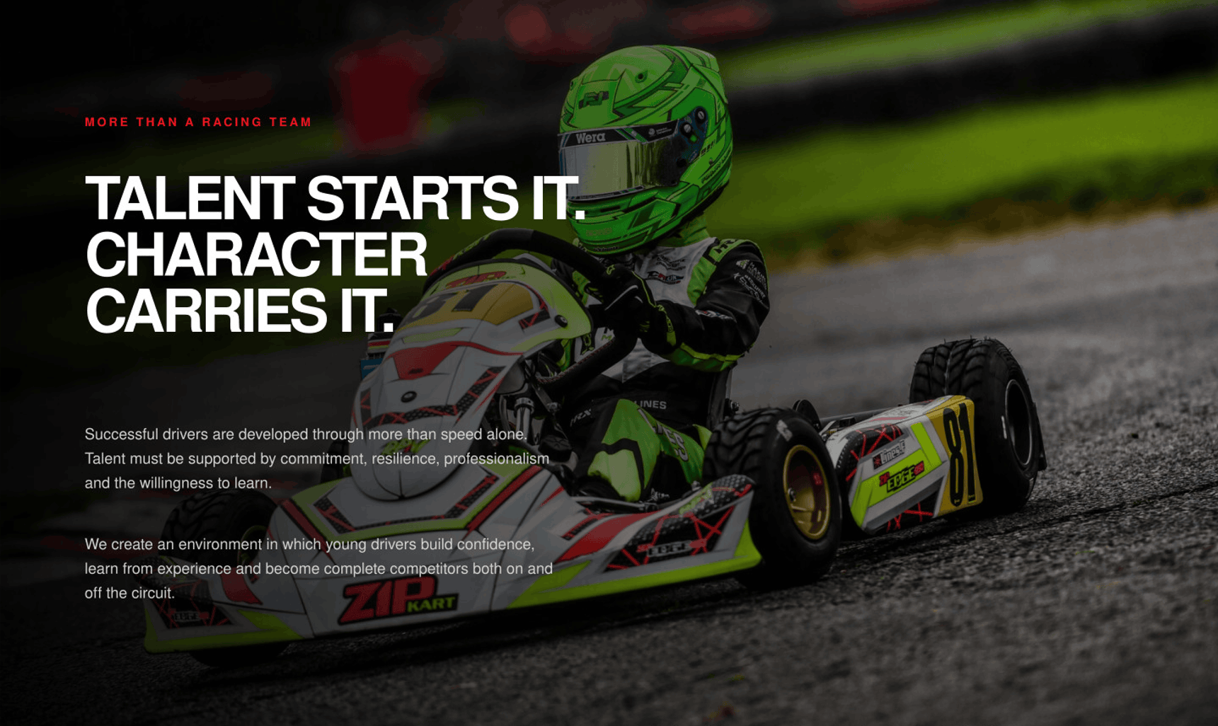 zip-kart-international.myshopify.com Zip Kart International